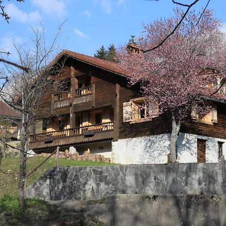Sous Les Ecotagnes Villa Les Villards-sur-Thones ภายนอก รูปภาพ