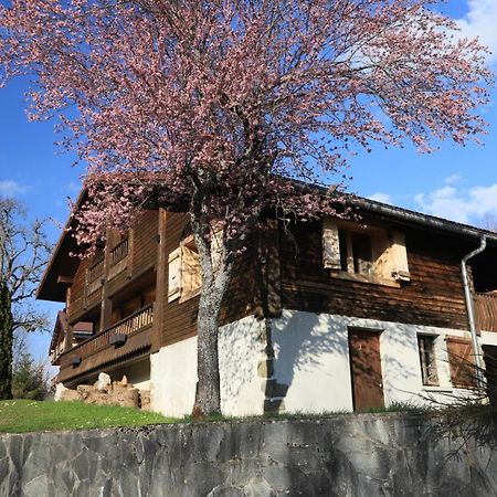 Sous Les Ecotagnes Villa Les Villards-sur-Thones ภายนอก รูปภาพ