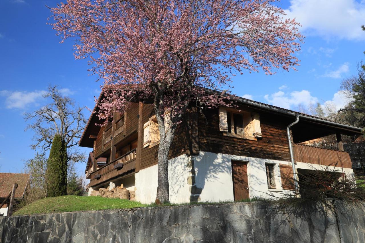 Sous Les Ecotagnes Villa Les Villards-sur-Thones ภายนอก รูปภาพ
